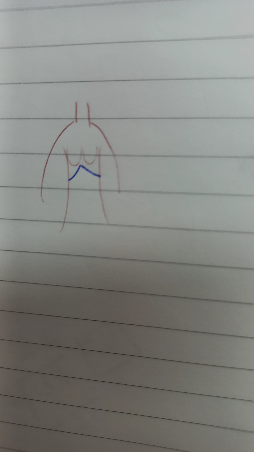 질문 이미지
