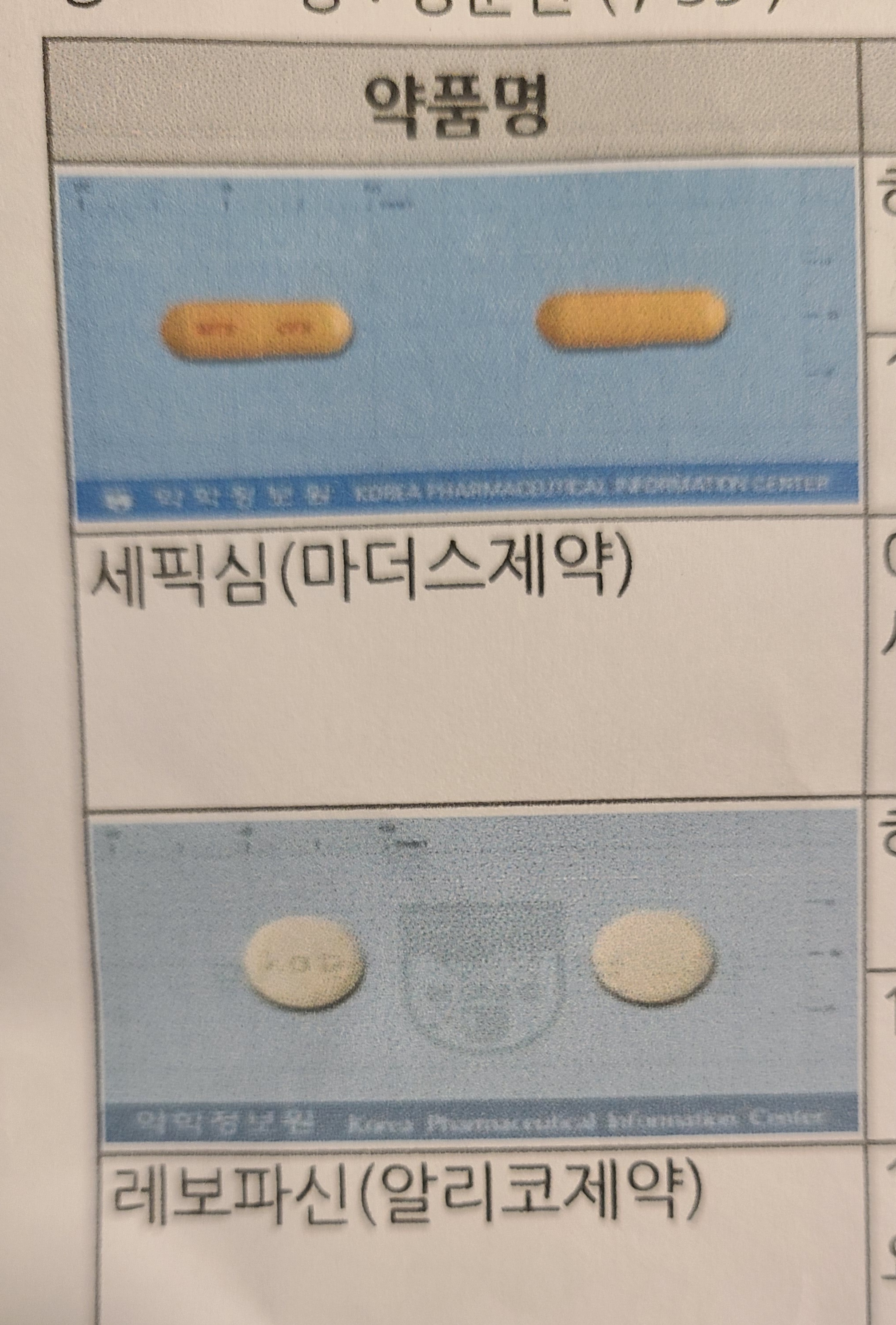 질문 이미지