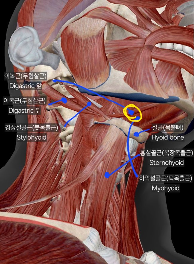 질문 이미지