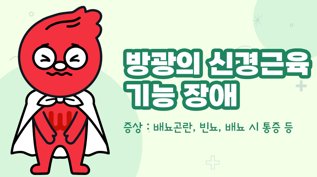 방광의 신경근육 기능 장애이미지