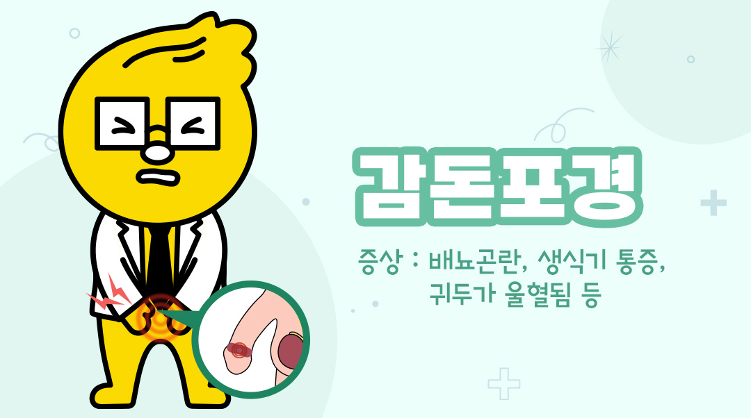 감돈포경이미지