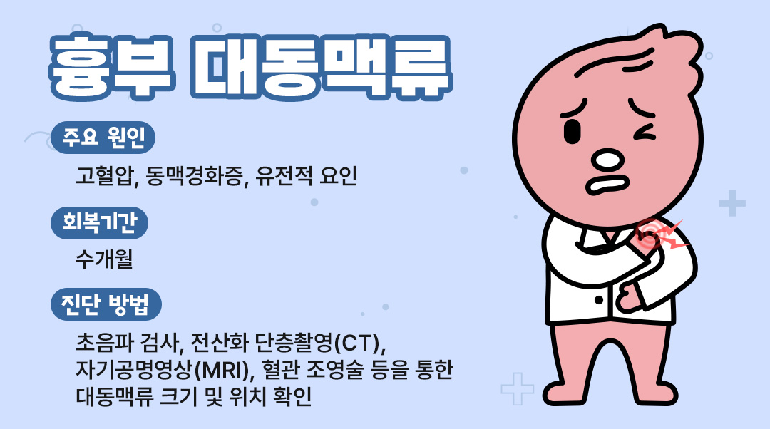 흉부 대동맥류이미지