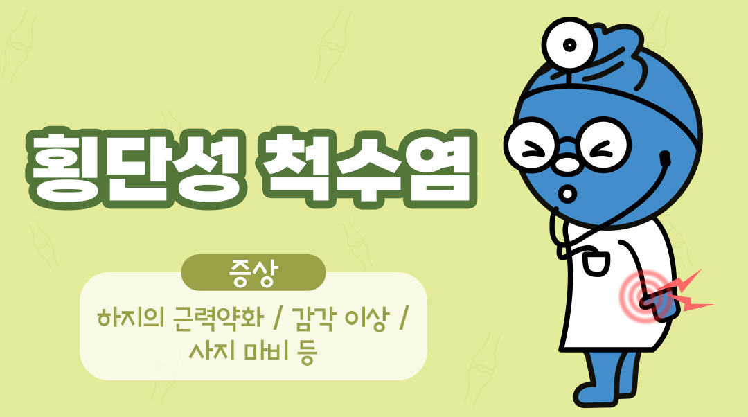 횡단성 척수염이미지