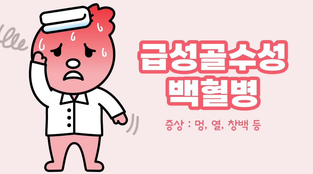 급성골수성백혈병이미지