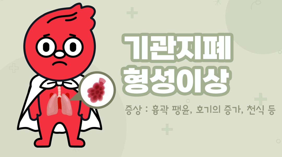 기관지폐 형성이상이미지
