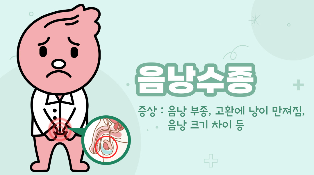 음낭수종이미지