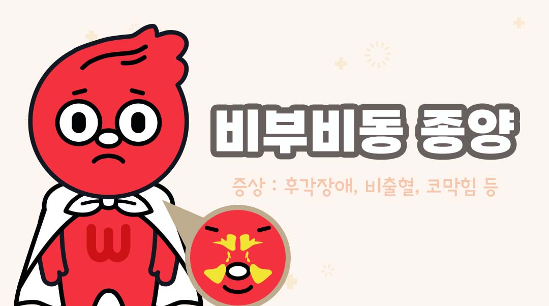 비부비동 종양이미지
