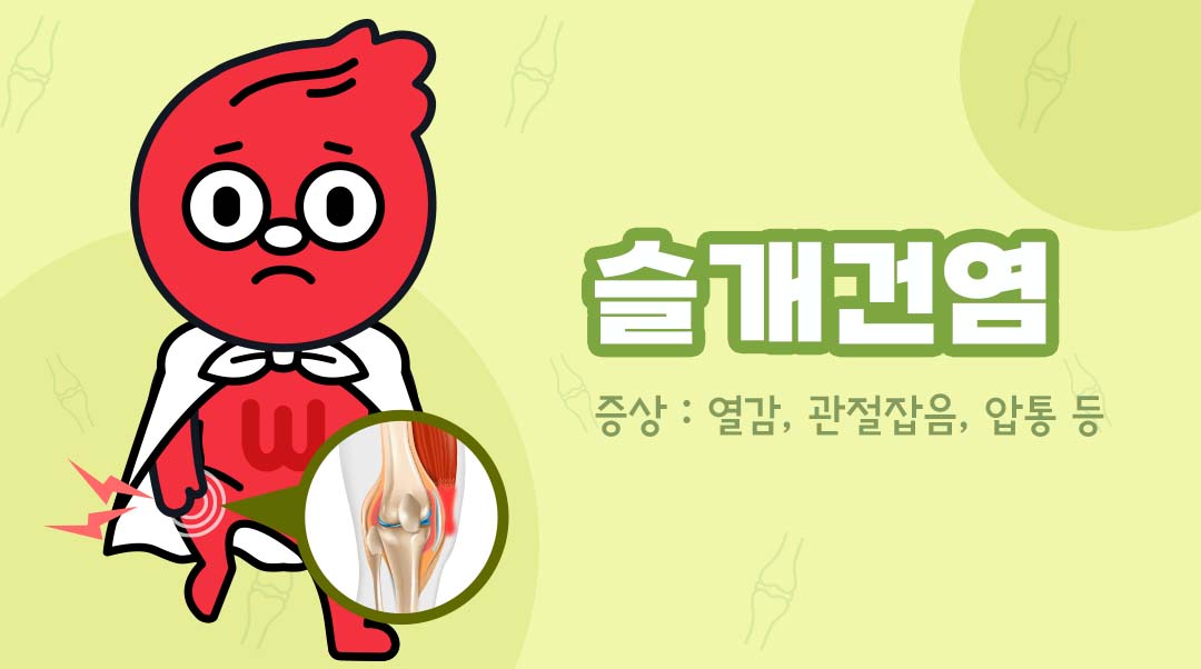 슬개건염이미지