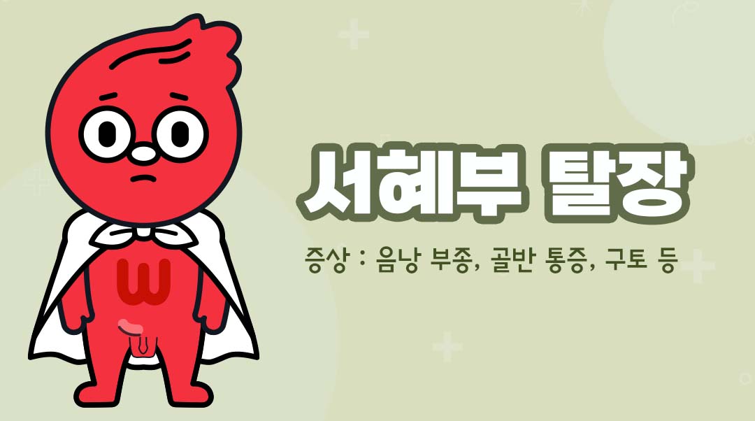 서혜부 탈장이미지
