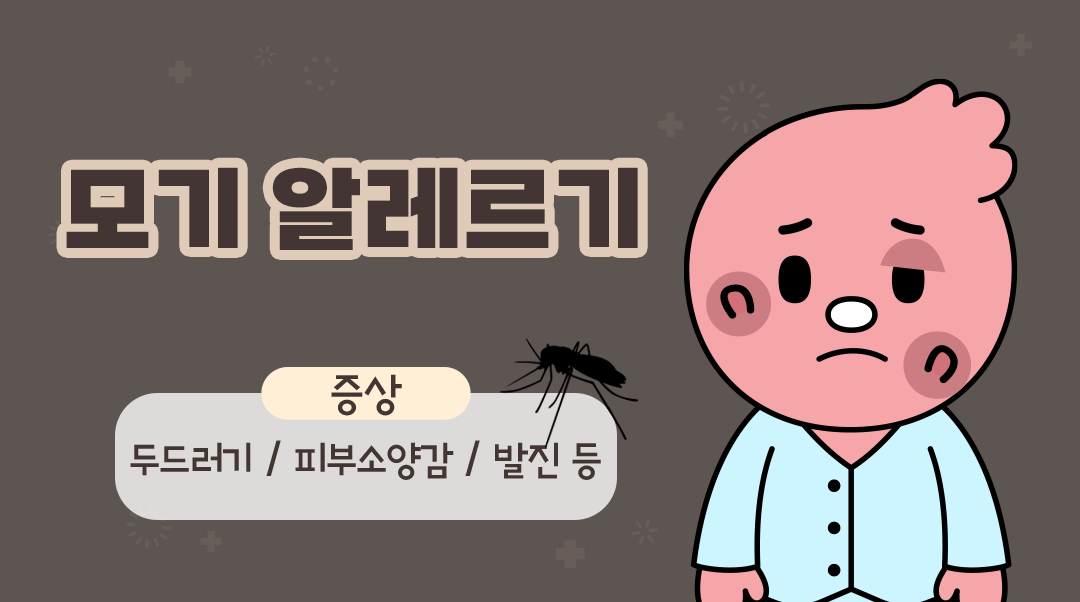 모기 알레르기이미지