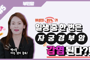 여성의 85%가 자궁경부암 감염?│부인암 5탄 썸네일 이미지