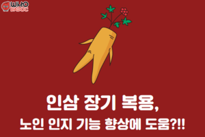 인삼 장기 복용, 노인 인지 기능 향상에 도움?! 썸네일 이미지