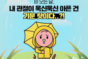 비 오는 날, 내 관절이 욱신욱신 아픈 건 기분 탓이다..?! 썸네일 이미지