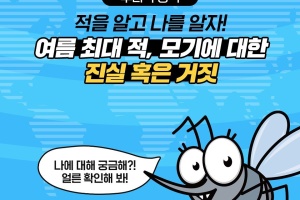 적을 알고 나를 알자! 여름 최대 적, 모기에 대한 진실 혹은 거짓 썸네일 이미지