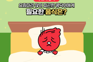 요즘따라 많이 피곤한 콩닥이에게 필요한 음식은? 썸네일 이미지