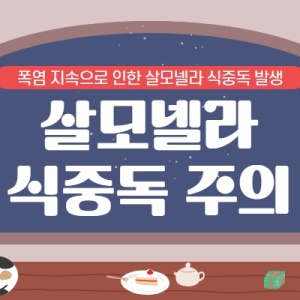 살모넬라 식중독 주의 (김밥, 계란 등 주의 필요)