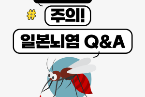 여름철 모기 주의! 일본 뇌염 Q&A  썸네일 이미지