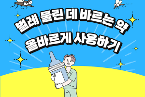 벌레 물린 데 바르는 약 올바른 사용방법 ! 썸네일 이미지