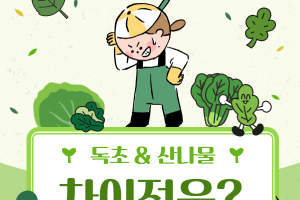 독초 & 산나물, 차이점은? 썸네일 이미지